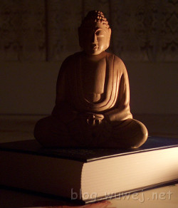 Buddha a Bible