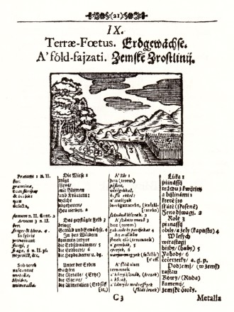 Orbis Pictus - zemské zrostlini, str. 21