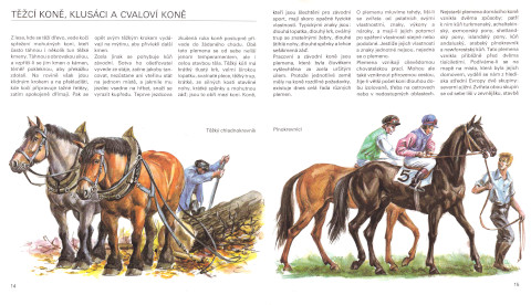Koně, str. 14-15