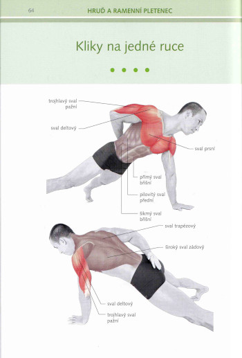 Tělo jako posilovna - Anatomie, ukázka str. 64