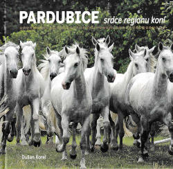 obálka knihy Pardubice srdce regionu koní