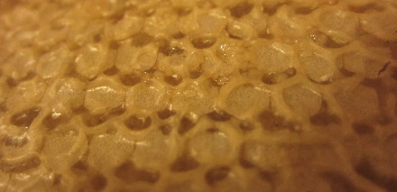 Plástečkový med